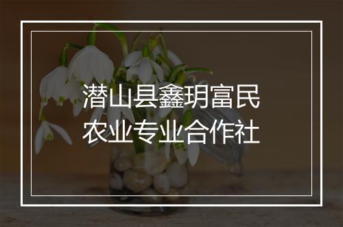 潜山县鑫玥富民农业专业合作社