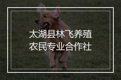 太湖县林飞养殖农民专业合作社
