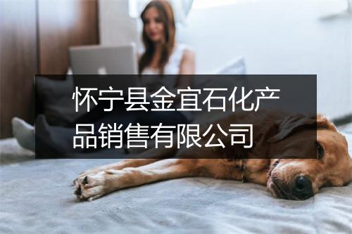 怀宁县金宜石化产品销售有限公司