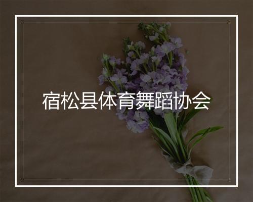 宿松县体育舞蹈协会