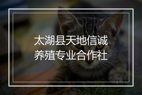 太湖县天地信诚养殖专业合作社