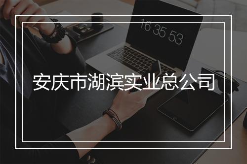 安庆市湖滨实业总公司