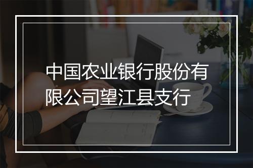 中国农业银行股份有限公司望江县支行