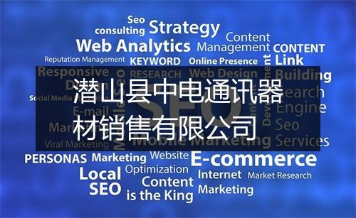 潜山县中电通讯器材销售有限公司