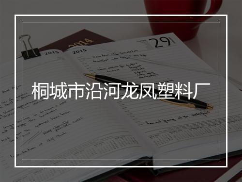 桐城市沿河龙凤塑料厂