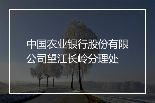 中国农业银行股份有限公司望江长岭分理处