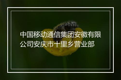 中国移动通信集团安徽有限公司安庆市十里乡营业部