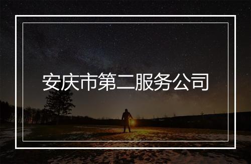 安庆市第二服务公司