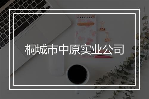 桐城市中原实业公司
