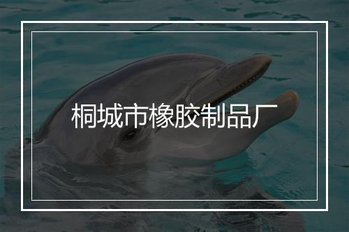 桐城市橡胶制品厂