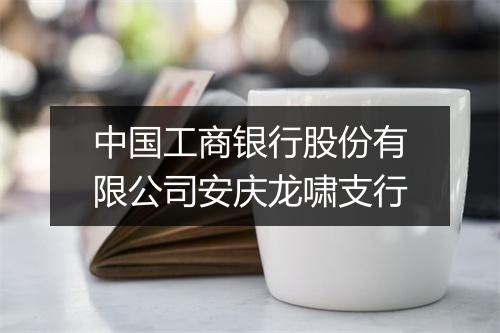 中国工商银行股份有限公司安庆龙啸支行
