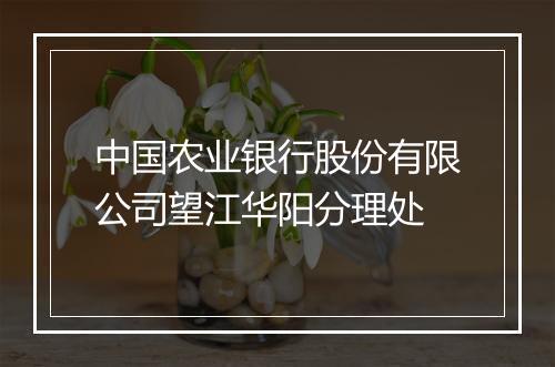 中国农业银行股份有限公司望江华阳分理处