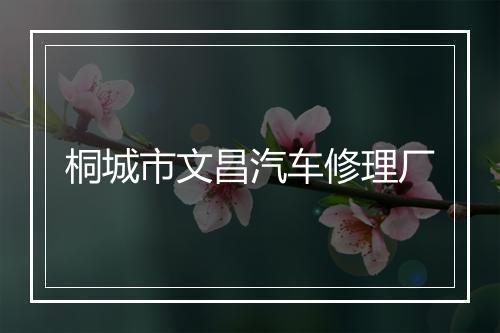 桐城市文昌汽车修理厂