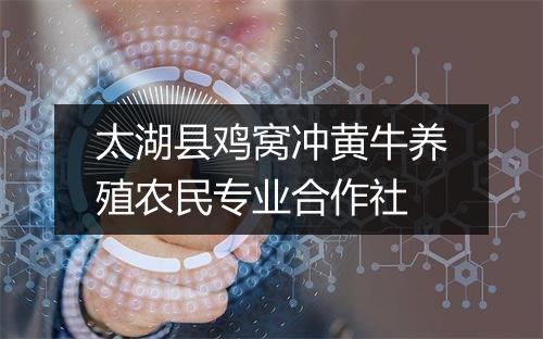 太湖县鸡窝冲黄牛养殖农民专业合作社