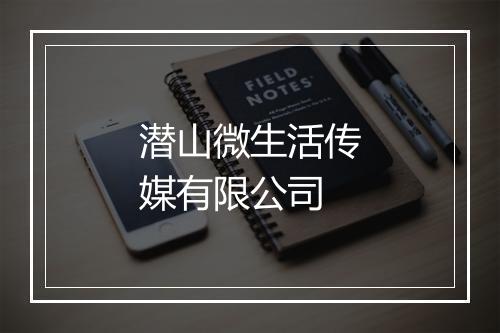 潜山微生活传媒有限公司