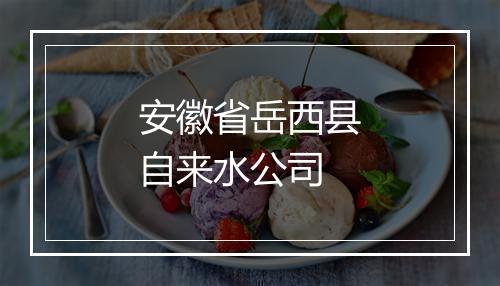 安徽省岳西县自来水公司