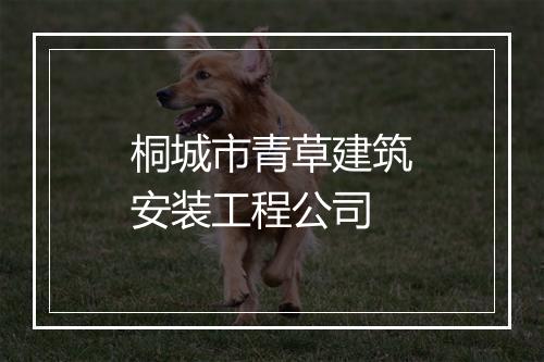 桐城市青草建筑安装工程公司