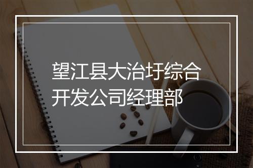 望江县大治圩综合开发公司经理部