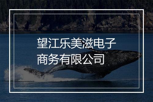 望江乐美滋电子商务有限公司