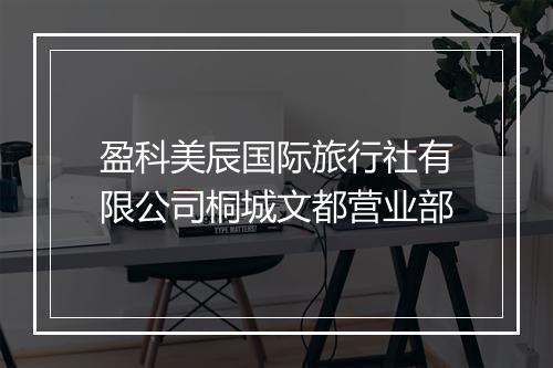 盈科美辰国际旅行社有限公司桐城文都营业部