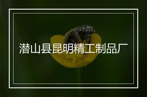 潜山县昆明精工制品厂