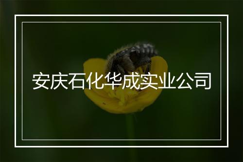 安庆石化华成实业公司