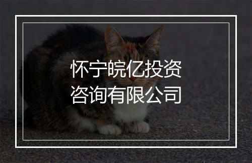 怀宁皖亿投资咨询有限公司