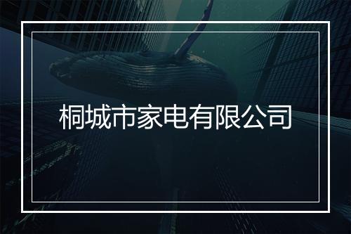 桐城市家电有限公司