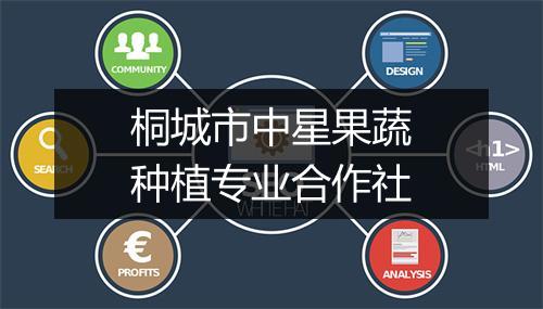 桐城市中星果蔬种植专业合作社