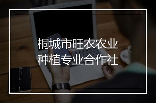 桐城市旺农农业种植专业合作社