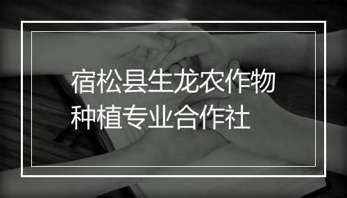 宿松县生龙农作物种植专业合作社
