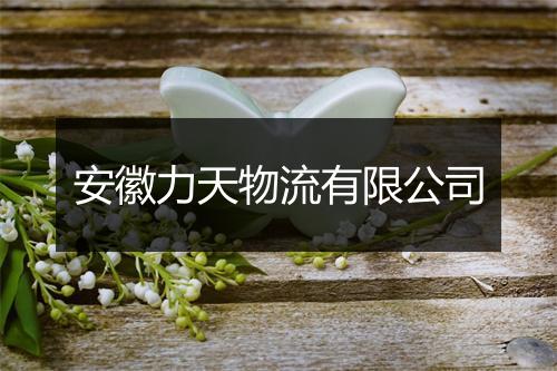 安徽力天物流有限公司