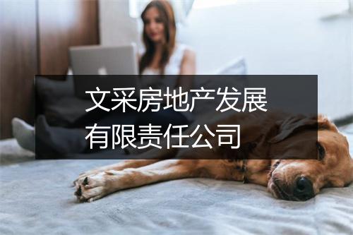文采房地产发展有限责任公司