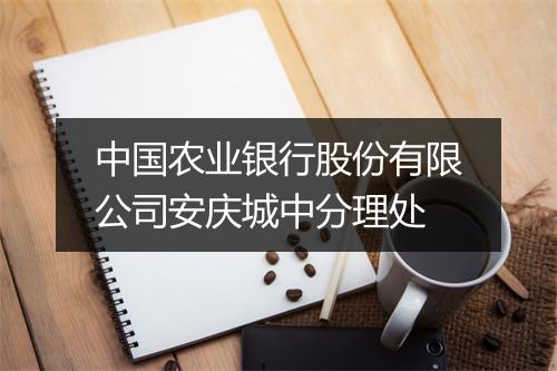 中国农业银行股份有限公司安庆城中分理处