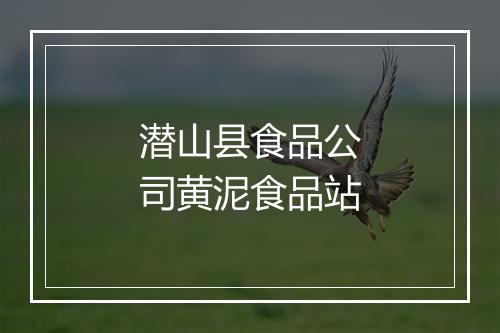 潜山县食品公司黄泥食品站