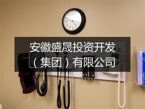 安徽盛晟投资开发（集团）有限公司