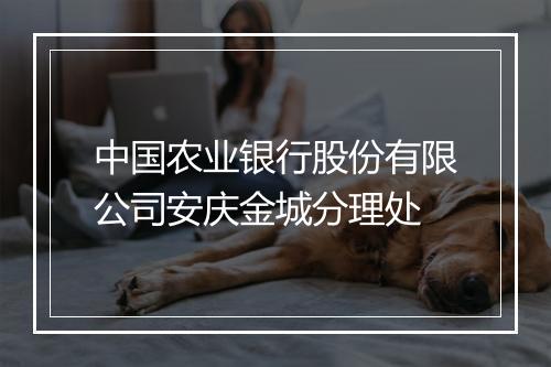 中国农业银行股份有限公司安庆金城分理处