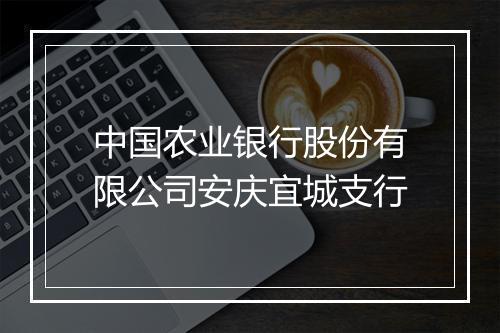 中国农业银行股份有限公司安庆宜城支行