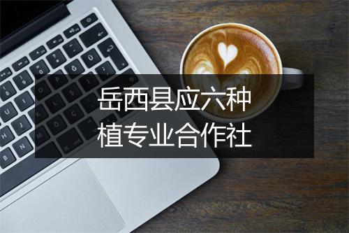 岳西县应六种植专业合作社