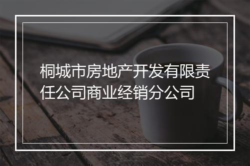 桐城市房地产开发有限责任公司商业经销分公司