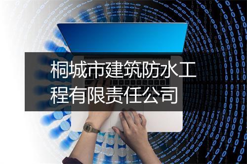 桐城市建筑防水工程有限责任公司