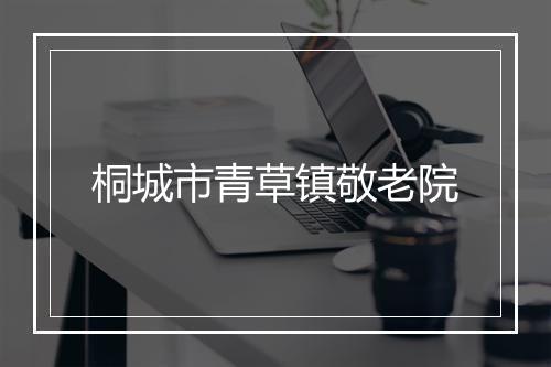 桐城市青草镇敬老院