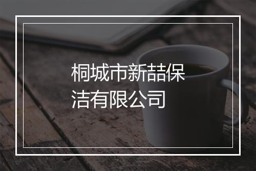 桐城市新喆保洁有限公司