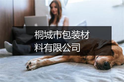 桐城市包装材料有限公司