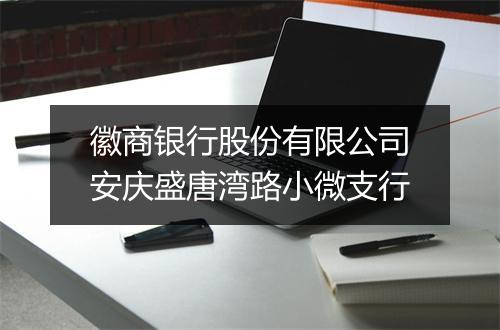 徽商银行股份有限公司安庆盛唐湾路小微支行