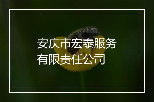安庆市宏泰服务有限责任公司