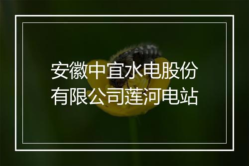 安徽中宜水电股份有限公司莲河电站