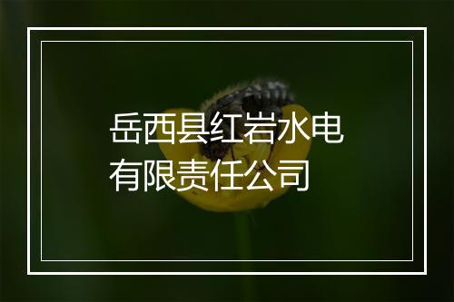 岳西县红岩水电有限责任公司
