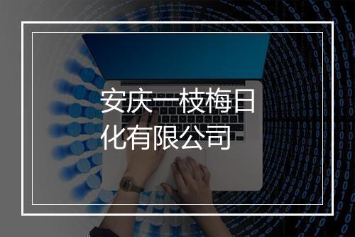 安庆一枝梅日化有限公司