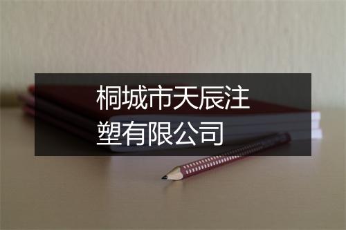 桐城市天辰注塑有限公司